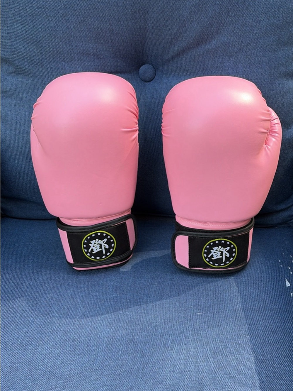 Adult Pink Boxing Gloves (beginner) - In GREAT shape!